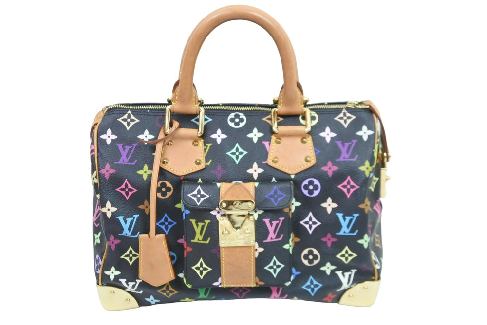 Louis Vuitton Speedy Handbag Multicolor Monogram